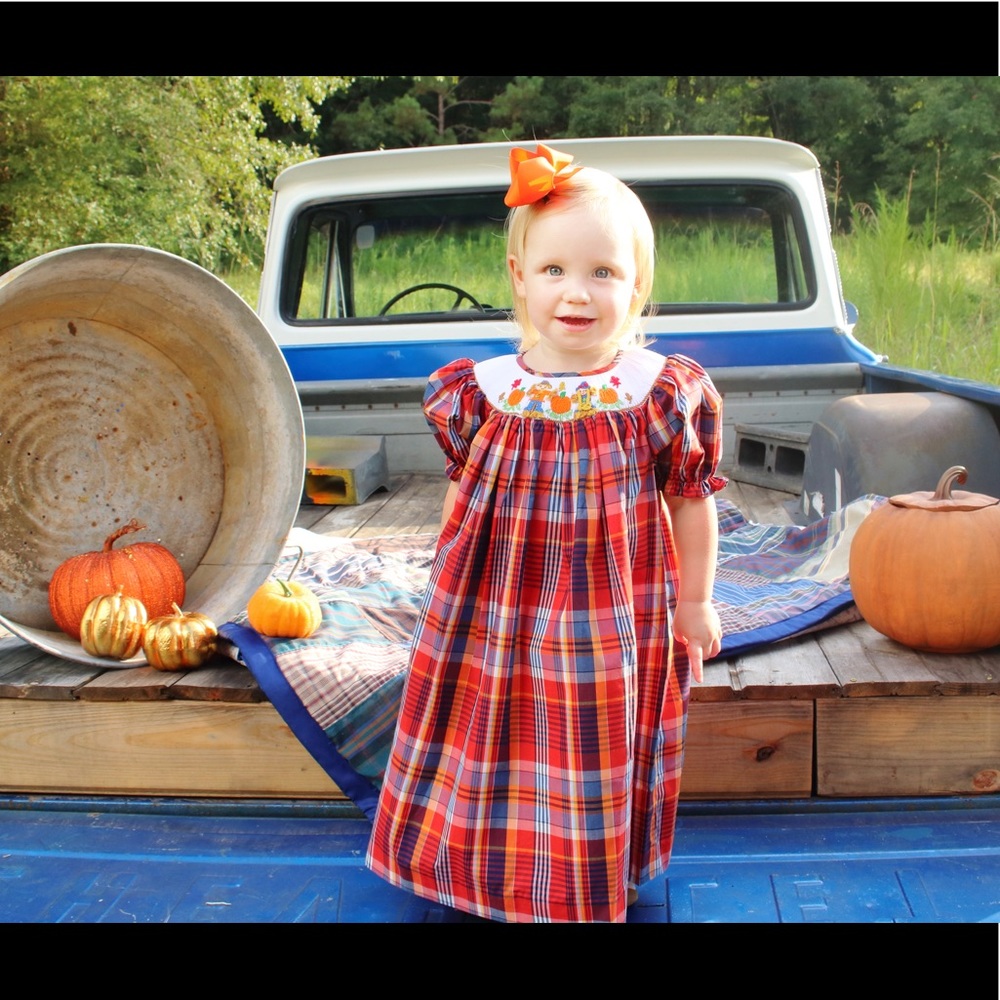 Scarecrow Smoked Dress NWT 18M